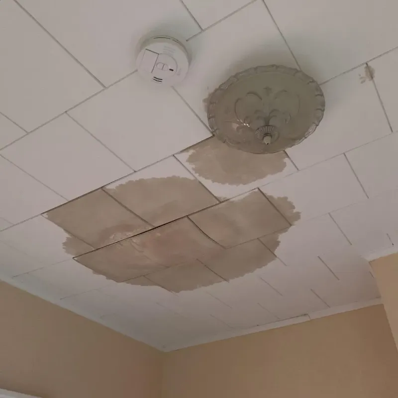 Ceiling Water Damage Repair in Aberdeen, NC