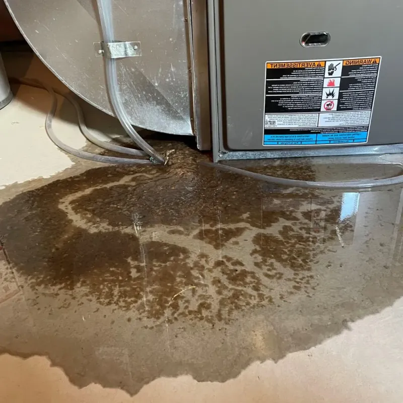Pipe Burst and Leak Restoration in Aberdeen, NC